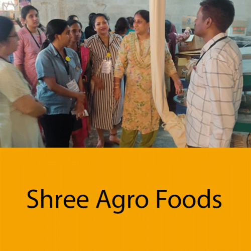 Shree Agro Foods